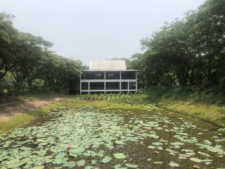 For sale 4 bed house in Doi Saket, Chiang Mai
