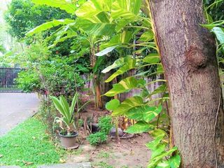 For sale 3 Beds house in Bang Sue, Bangkok
