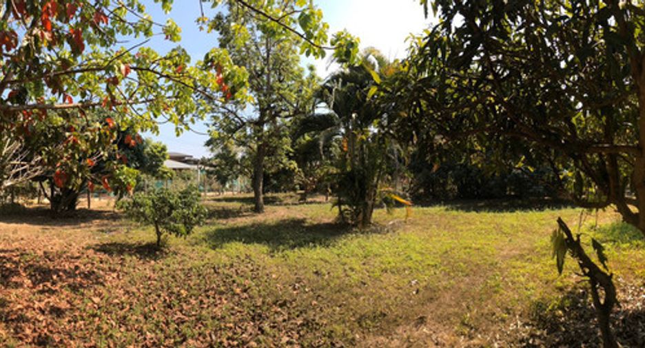 For sale land in Phrao, Chiang Mai