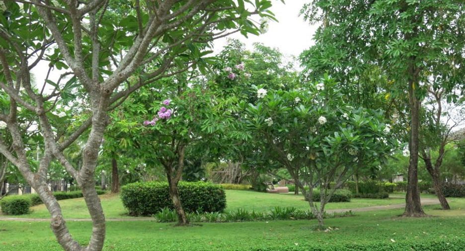 For sale 3 bedrooms house in Doi Saket, Chiang Mai