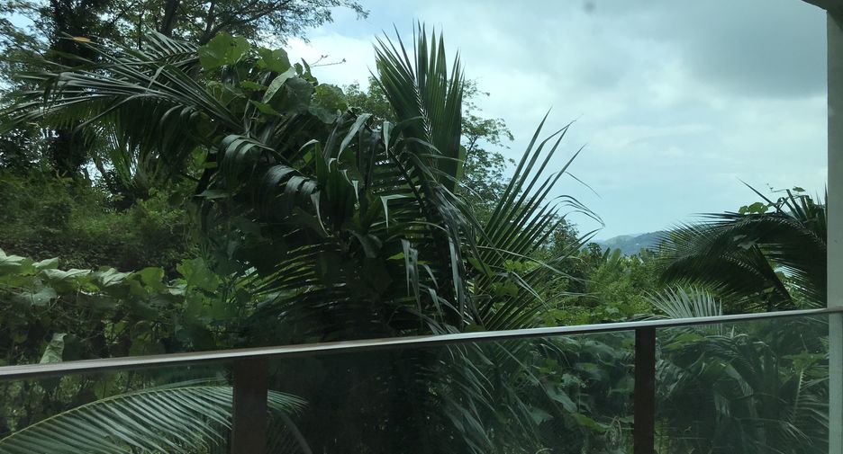 For rent 1 bed condo in Kathu, Phuket