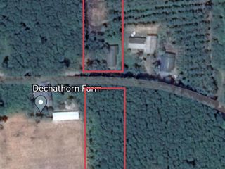 For sale land in Cha-uat, Nakhon Si Thammarat