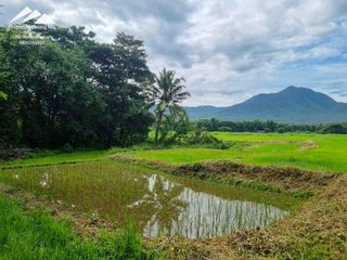For sale land in Mae On, Chiang Mai