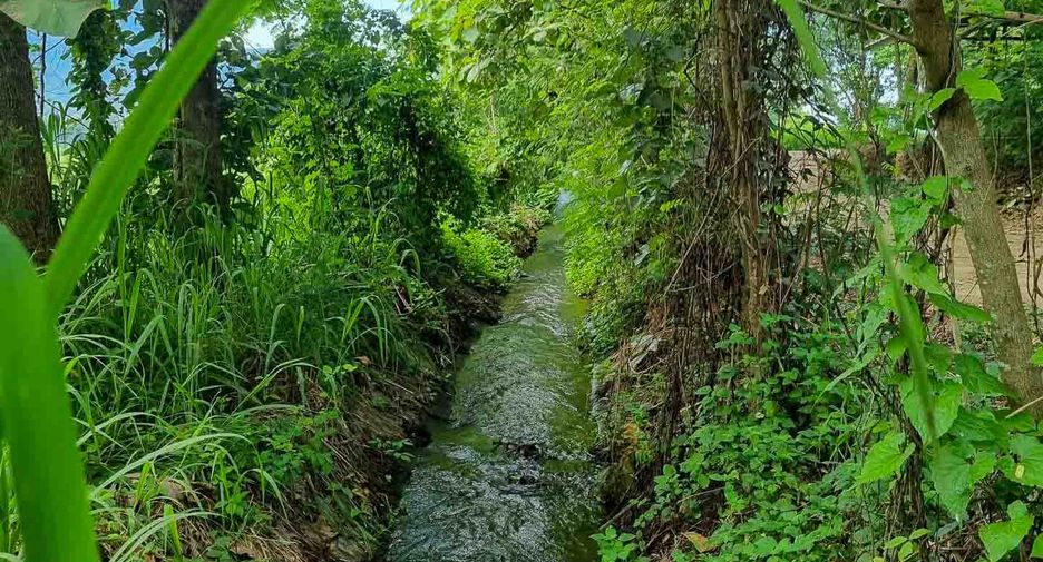 Grundstück zum Kauf in Mae On, Chiang Mai