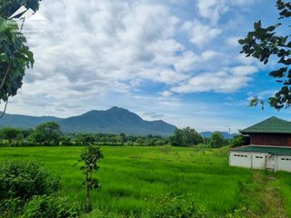 For sale land in Mae On, Chiang Mai
