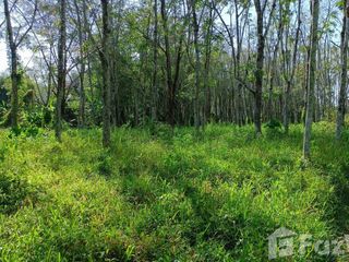 For sale land in Thalang, Phuket