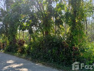 For sale land in Thalang, Phuket