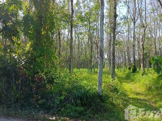 For sale land in Thalang, Phuket