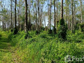 For sale land in Thalang, Phuket