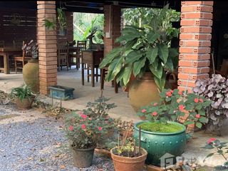 For sale 3 Beds house in Kong Ra, Phatthalung