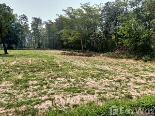 For sale land in Prang Ku, Sisaket