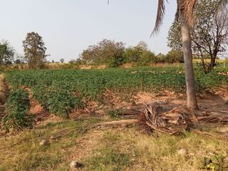 For sale land in Sap Yai, Chaiyaphum