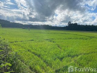 For sale land in Wiang Sa, Nan