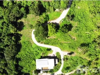 For sale land in Ko Samui, Surat Thani