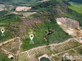 For sale land in Kaeng Hang Maeo, Chanthaburi