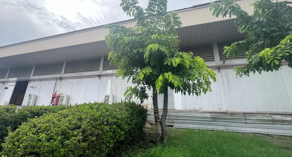 For rent warehouse in Bang Pakong, Chachoengsao