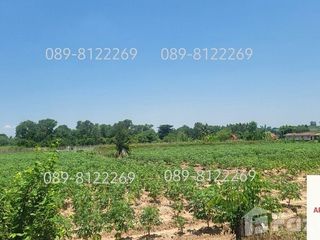 For sale land in Bo Thong, Chonburi