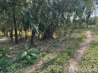 For sale land in Tha Sala, Nakhon Si Thammarat