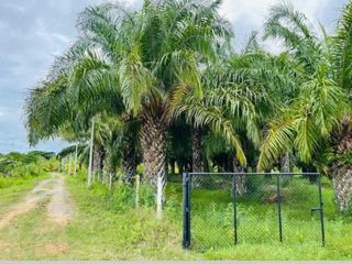 For sale land in Kui Buri, Prachuap Khiri Khan