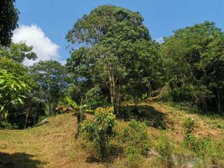 For sale land in Ko Samui, Surat Thani