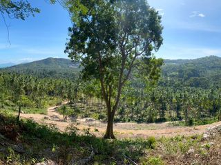 For sale land in Ko Samui, Surat Thani