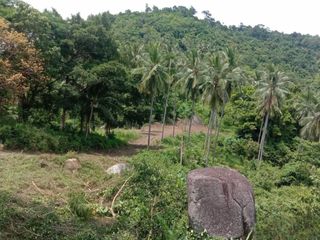 For sale land in Ko Samui, Surat Thani