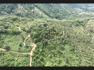 For sale land in Ko Samui, Surat Thani