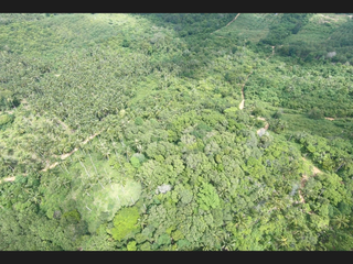 For sale land in Ko Samui, Surat Thani