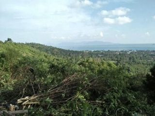 For sale land in Ko Samui, Surat Thani