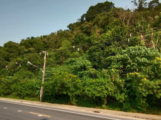 For sale land in Ko Samui, Surat Thani