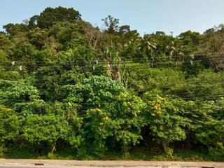 For sale land in Ko Samui, Surat Thani