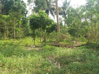 For sale land in Ko Samui, Surat Thani
