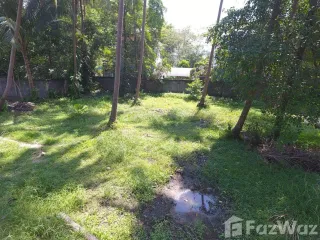 For sale land in Ko Samui, Surat Thani