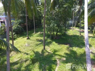 For sale land in Ko Samui, Surat Thani