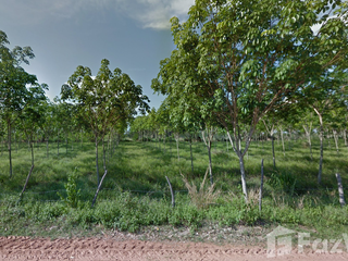 For sale land in Sangkha, Surin