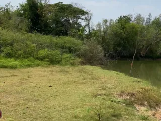 For sale land in Mueang Surin, Surin