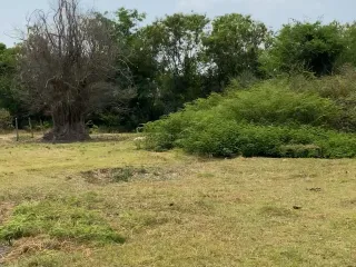 For sale land in Mueang Surin, Surin