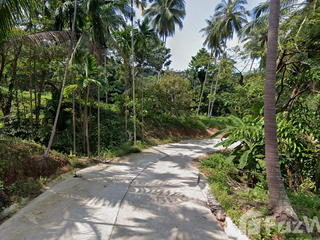 For sale land in Ko Samui, Surat Thani
