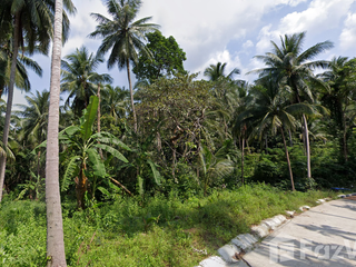 For sale land in Ko Samui, Surat Thani