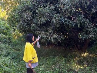 ขาย ที่ดิน ใน เมืองเชียงใหม่, เชียงใหม่