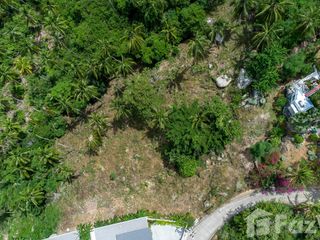 For sale land in Ko Samui, Surat Thani