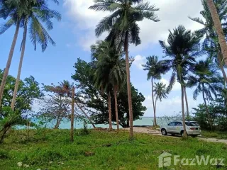 For sale land in Phunphin, Surat Thani