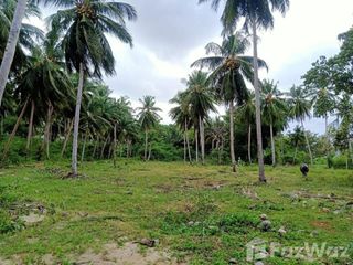 For sale land in Phunphin, Surat Thani