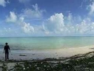 For sale land in Phunphin, Surat Thani