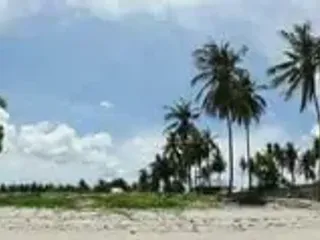 For sale land in Phunphin, Surat Thani