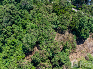 For sale land 