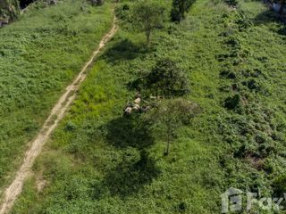 For sale land in Ko Samui, Surat Thani