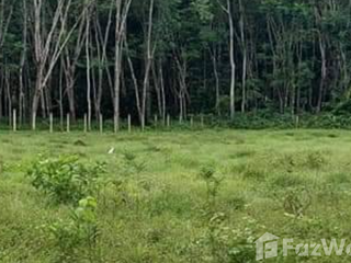 For sale land in Khao Chaison, Phatthalung