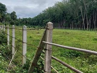 For sale land in Khao Chaison, Phatthalung