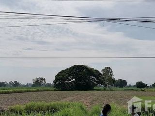 For sale land in Phu Khiao, Chaiyaphum